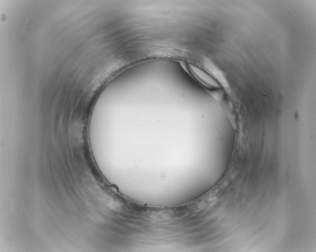 X0000088840106200706281831