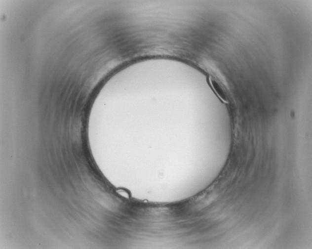 X0000088840108200706281831