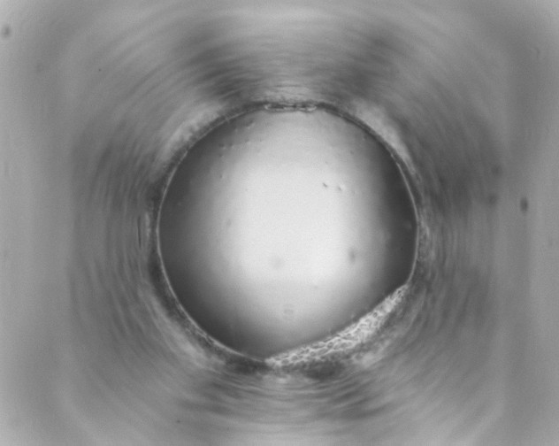 X0000088840109200706281831