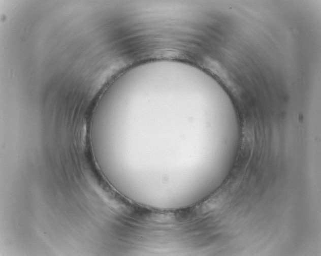 X0000088840110200706281831