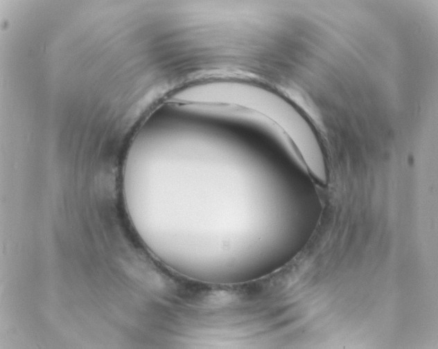 X0000088840111200706281831