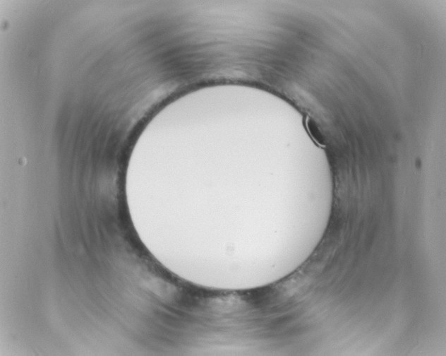 X0000088840112200706281831