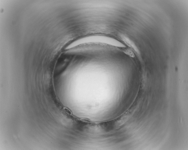 X0000088840113200706281831