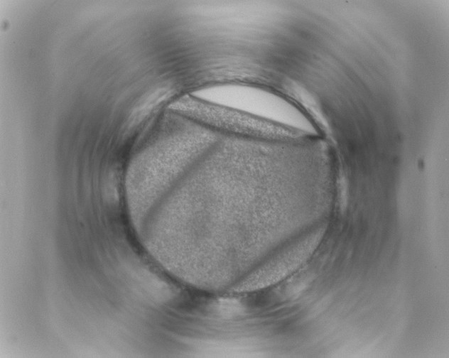 X0000088840114200706281831