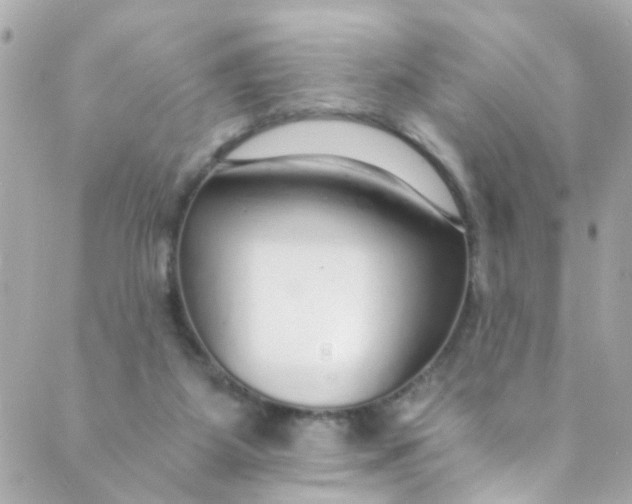 X0000088840115200706281831