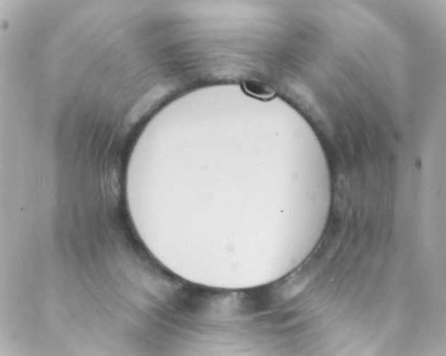 X0000088840116200706281831