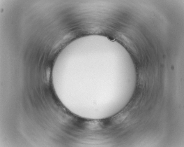 X0000088840118200706281831