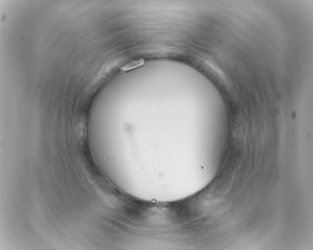 X0000088840119200706281831