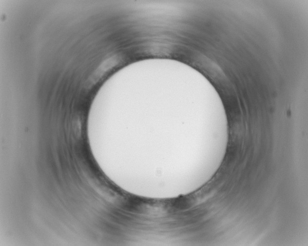 X0000088840120200706281831