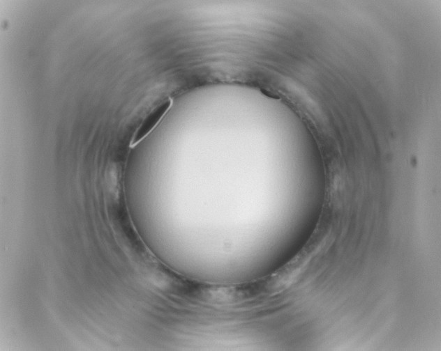 X0000088840121200706281831