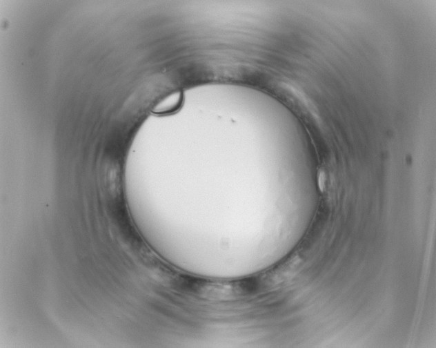 X0000088840123200706281831