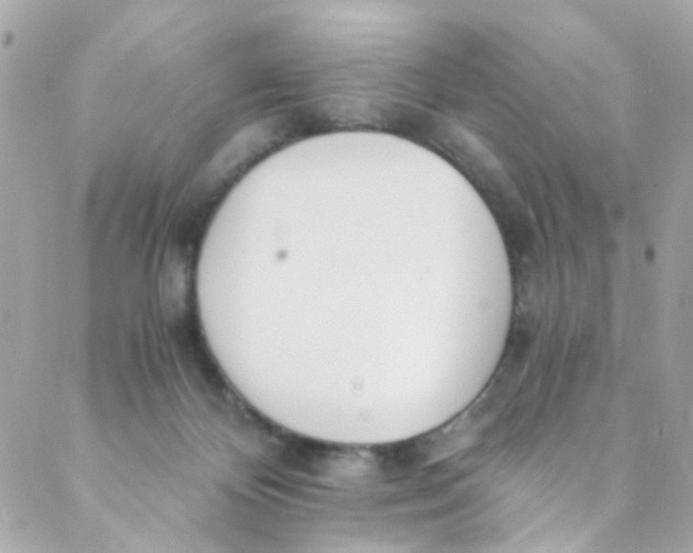 X0000088840124200706281831