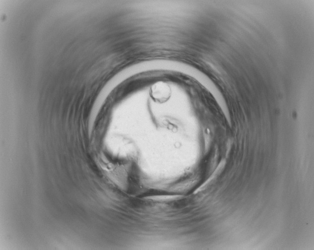 X0000088840125200706281831