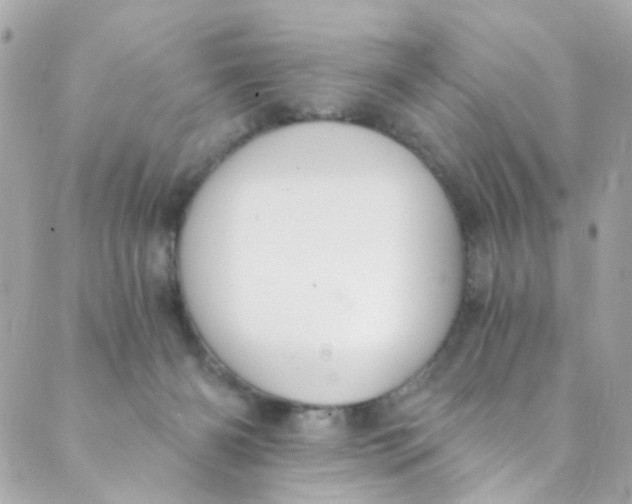 X0000088840126200706281831