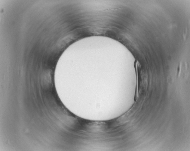 X0000088840128200706281831