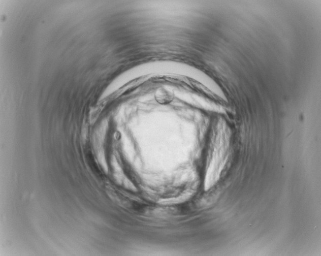 X0000088840129200706281831