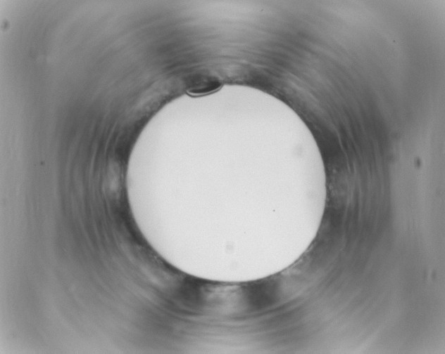 X0000088840132200706281831