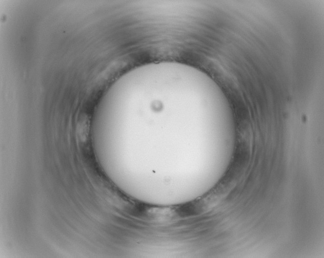 X0000088840133200706281831