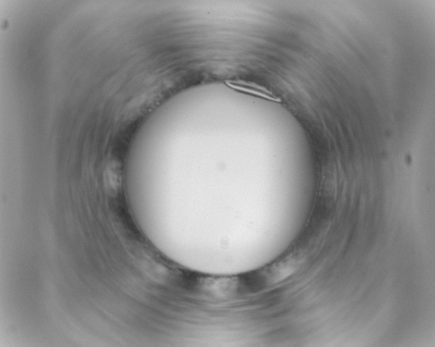 X0000088840135200706281831