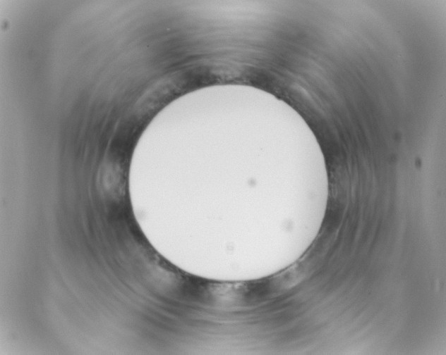 X0000088840136200706281831