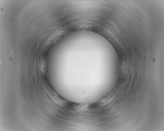 X0000088840138200706281831