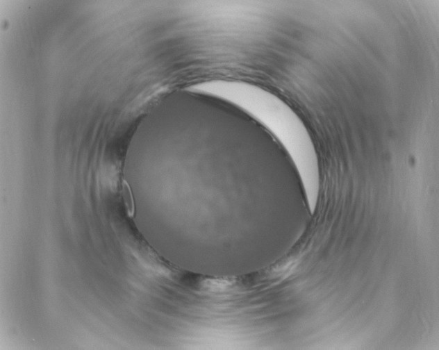 X0000088840139200706281831