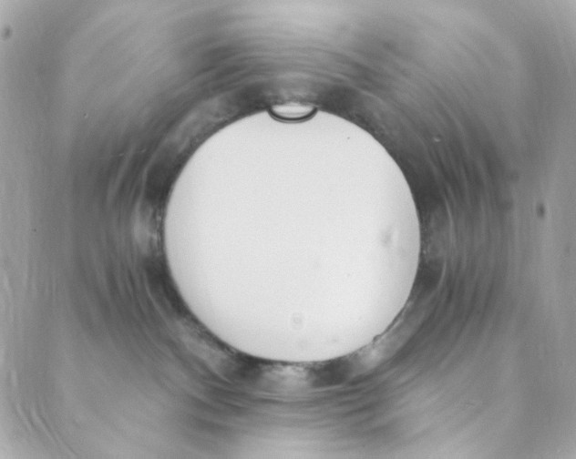 X0000088840140200706281831