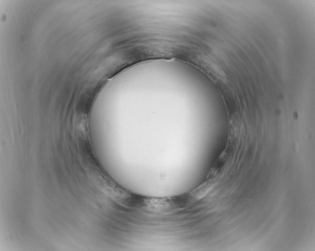 X0000088840141200706281831