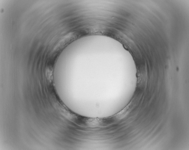 X0000088840142200706281831