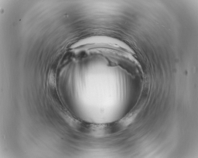 X0000088840143200706281831