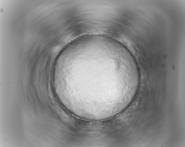 X0000088840145200706281830