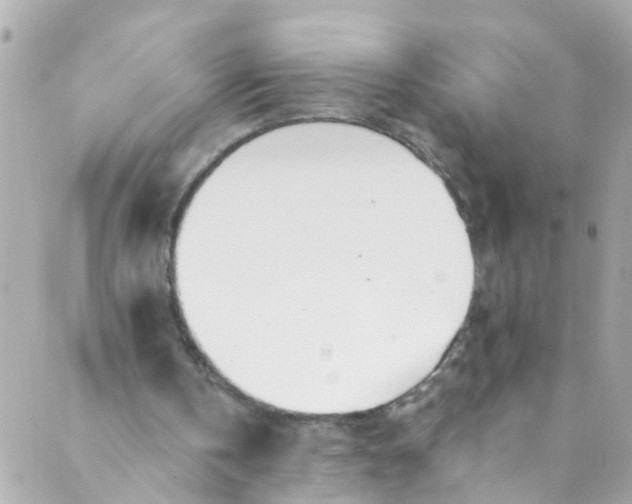 X0000088840146200706281830