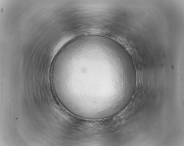 X0000088840147200706281830