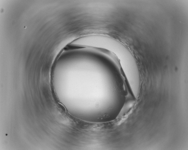 X0000088840148200706281830