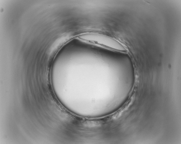 X0000088840149200706281830