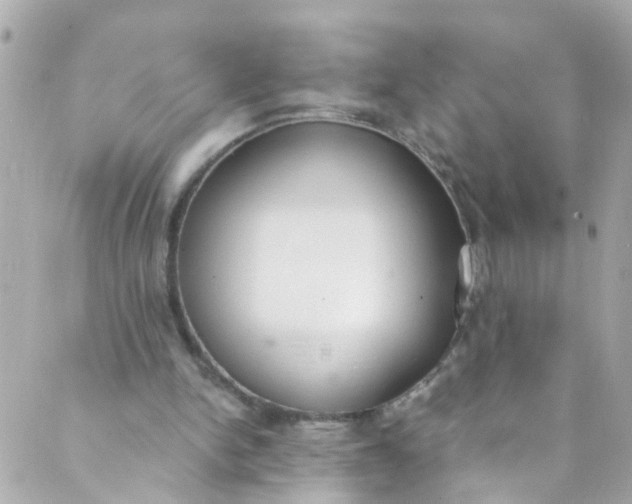 X0000088840150200706281830