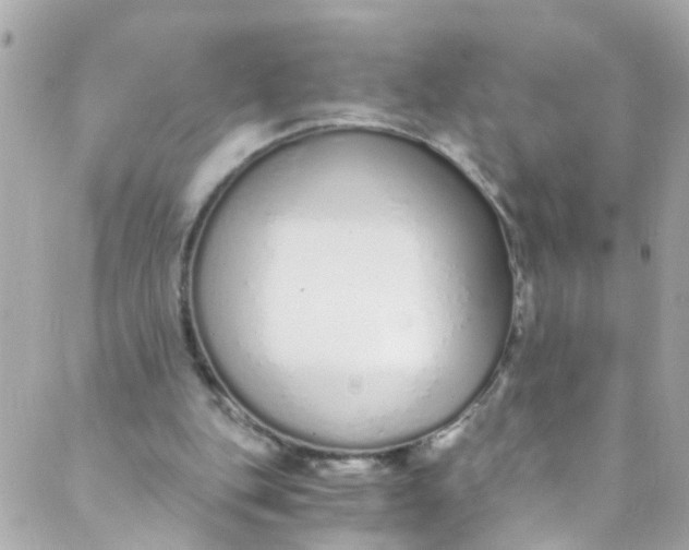 X0000088840151200706281830