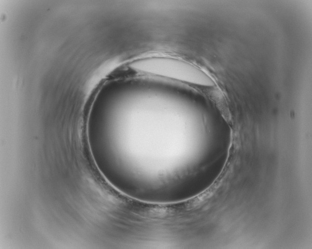 X0000088840152200706281830