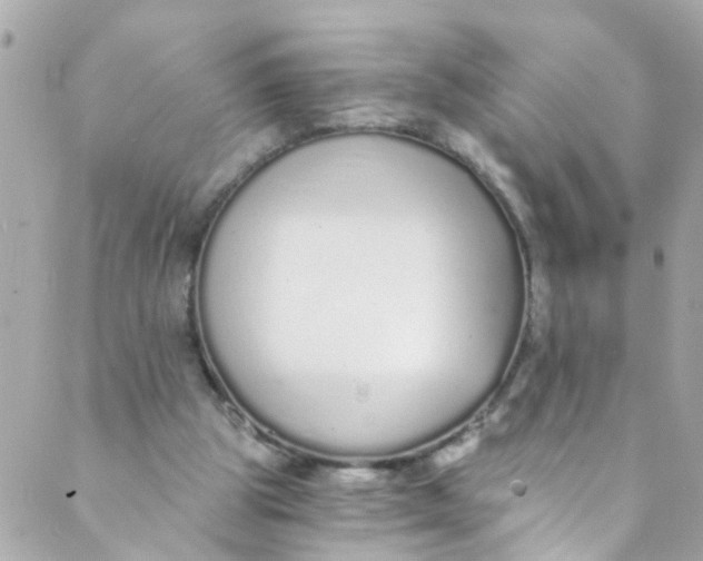 X0000088840153200706281830