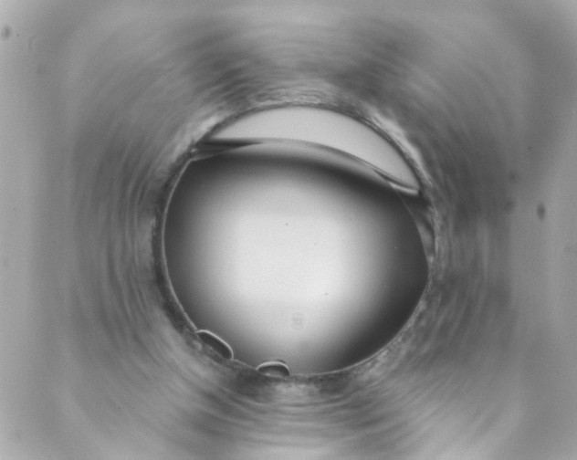 X0000088840154200706281830