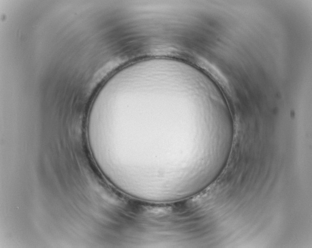 X0000088840155200706281830