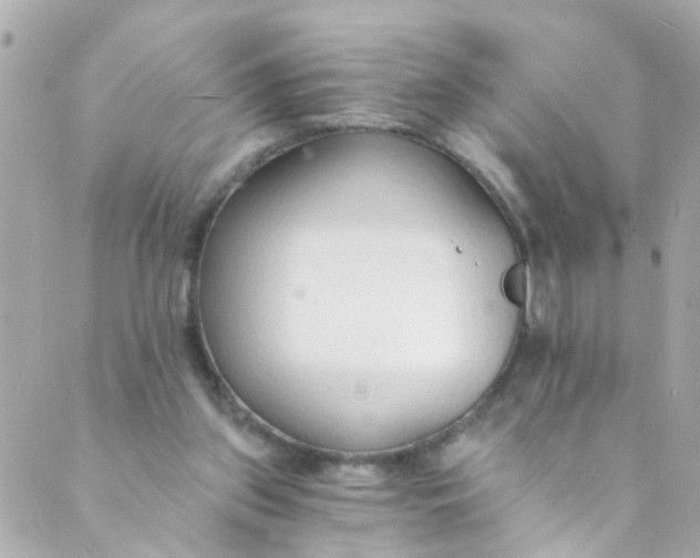 X0000088840157200706281830