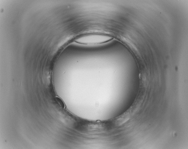 X0000088840160200706281830