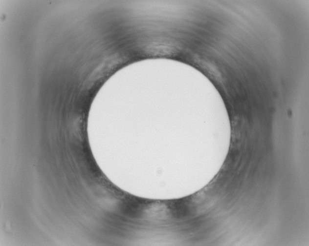 X0000088840162200706281830