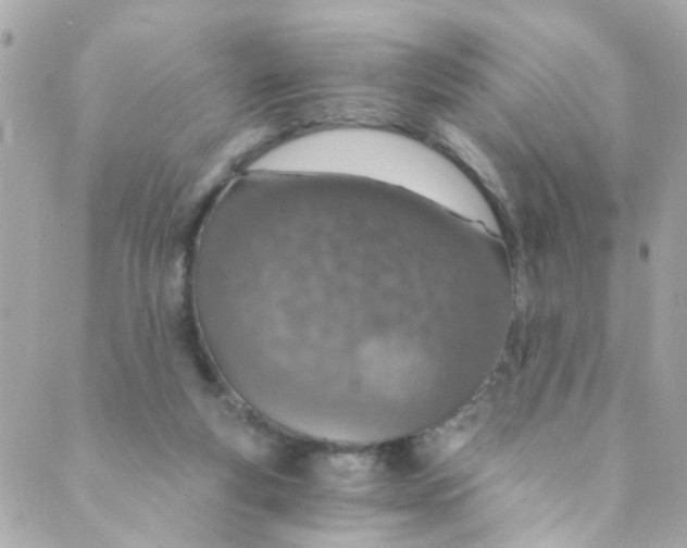 X0000088840163200706281830