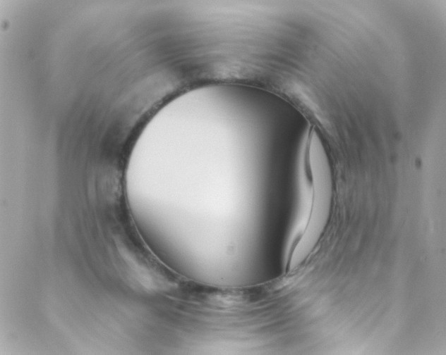 X0000088840164200706281830