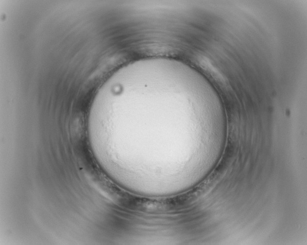 X0000088840165200706281830