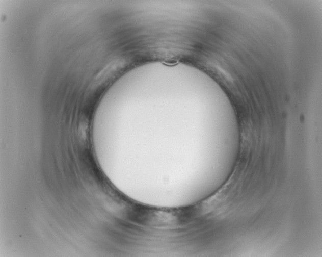 X0000088840166200706281830