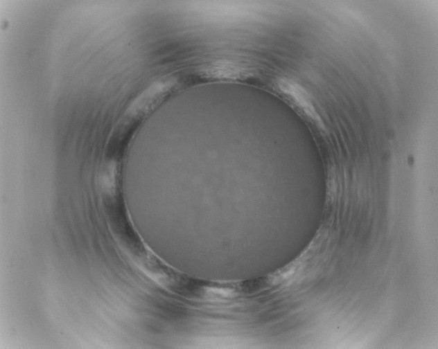 X0000088840167200706281830