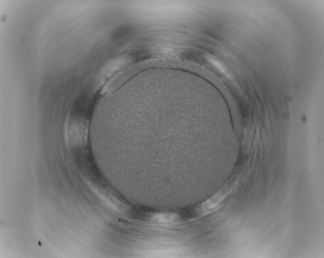 X0000088840168200706281830